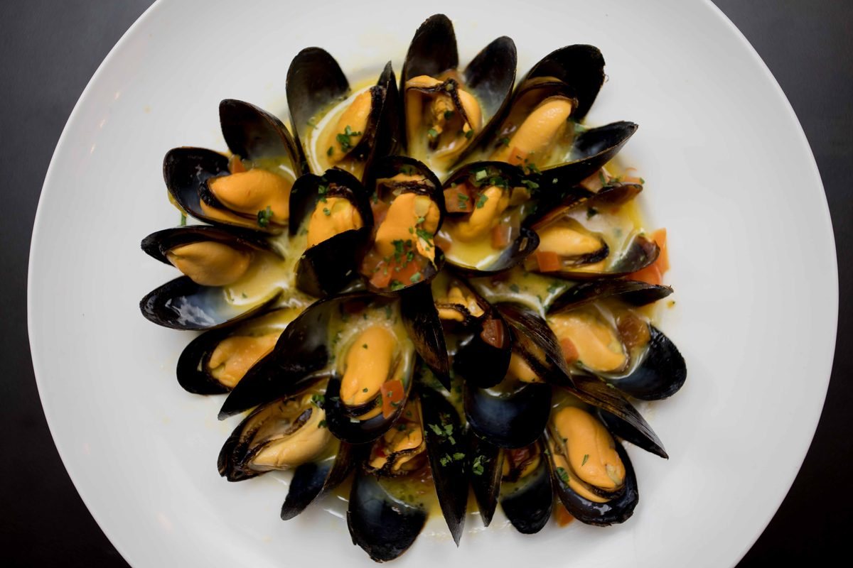 Mussels