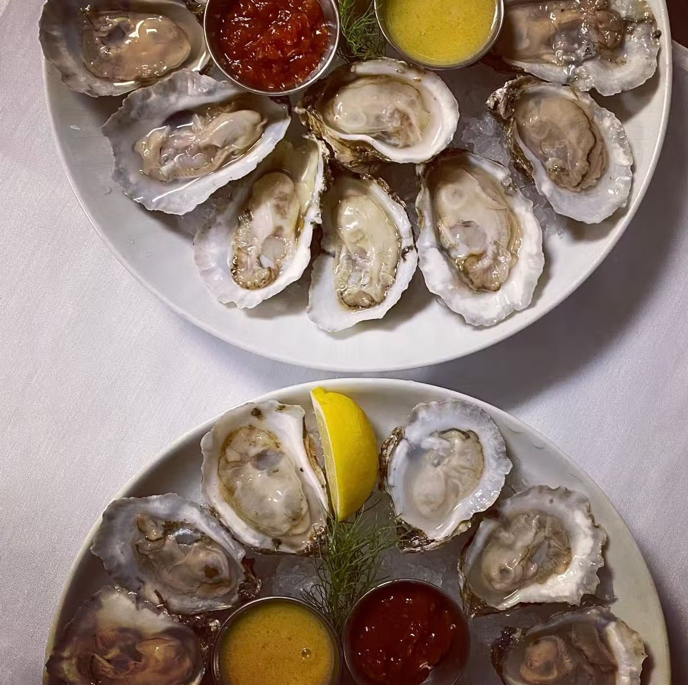 Oysters on ice
